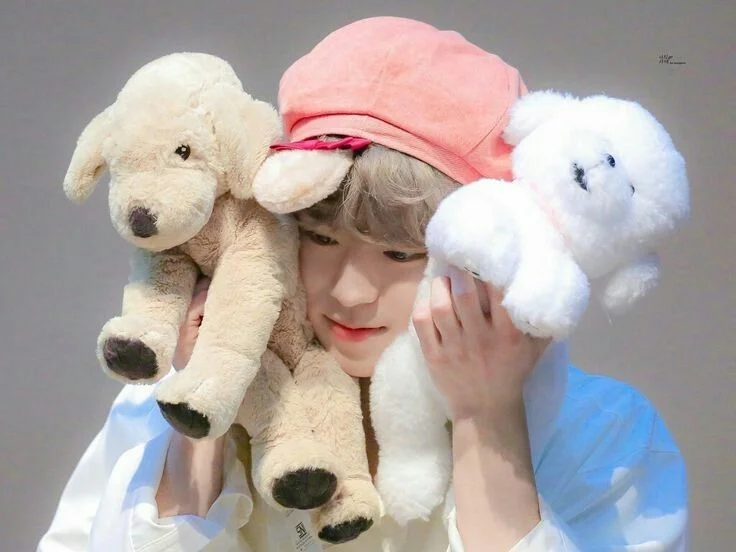jisungie