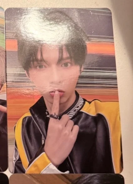 WILD&FREE Start Ver.