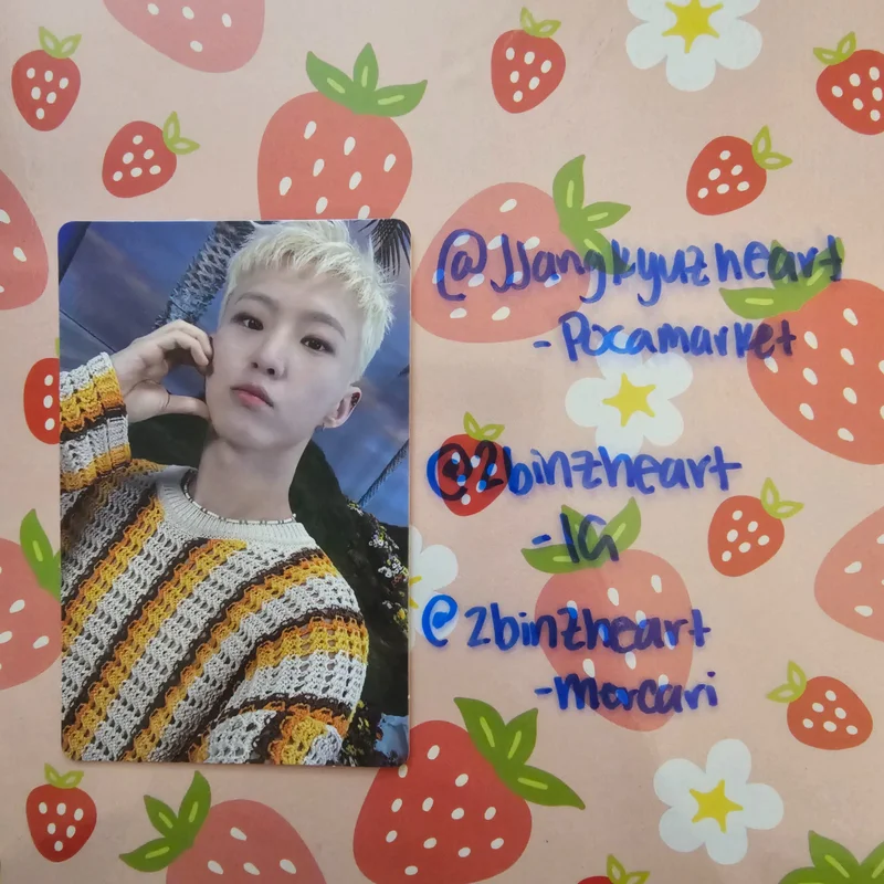 SECTOR 17 COMPACT ver.