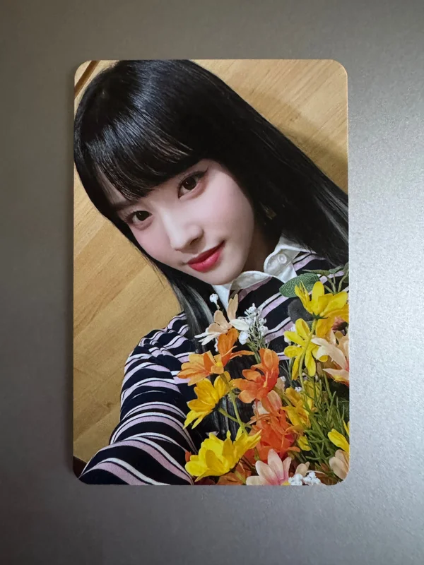 yoon teddy bear makestar pob