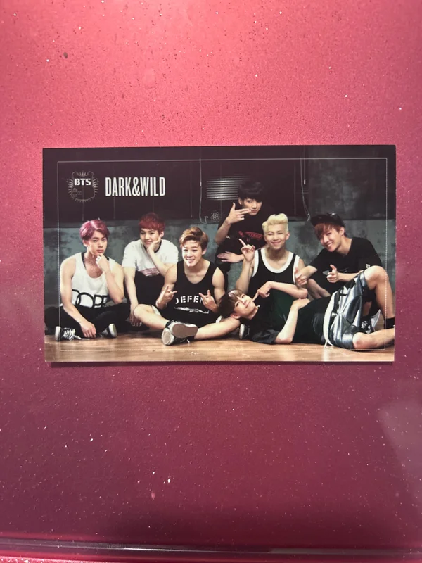 DARK&WILD