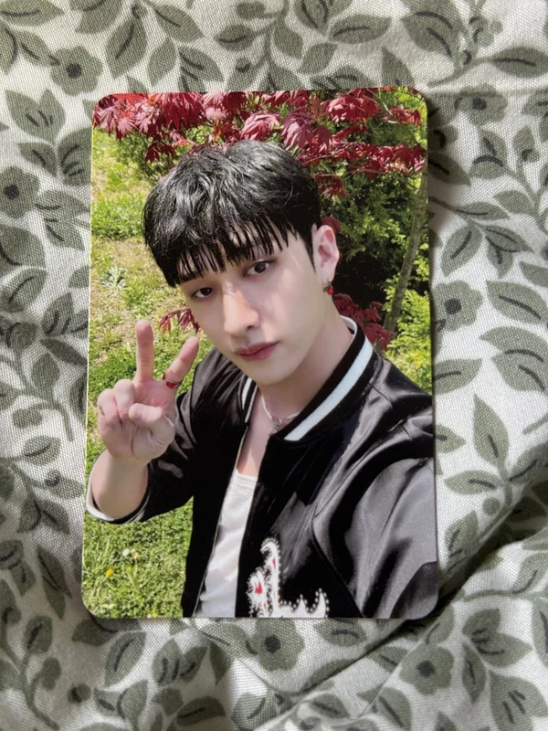 BangChan StrayKids MAXIDENT