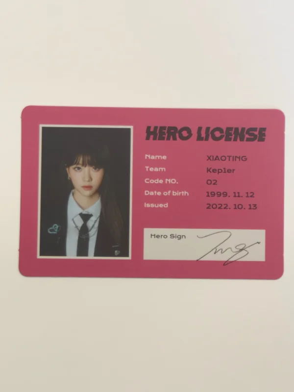 Shen Xiaoting TROUBLESHOOTER ID CARD