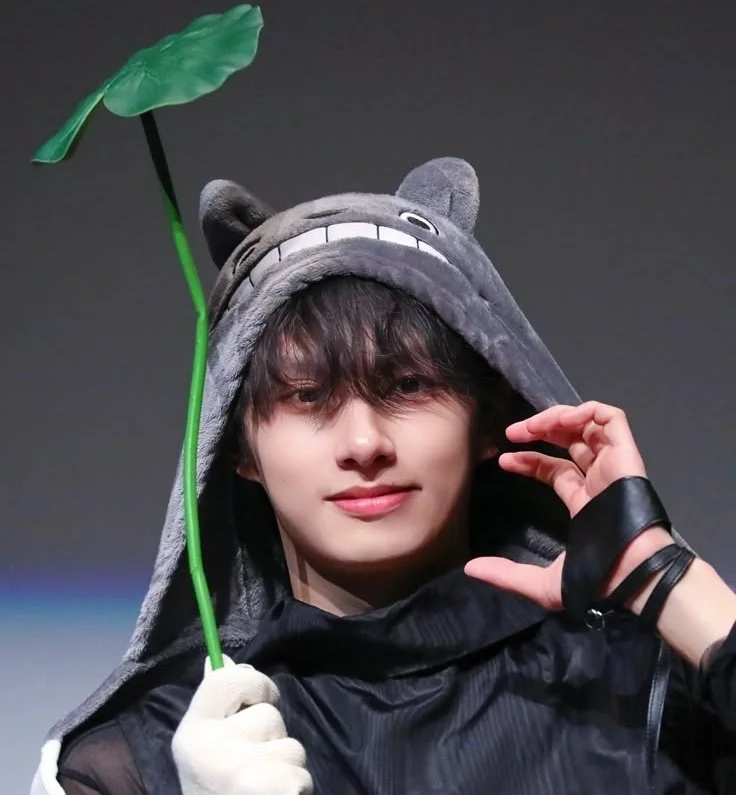 junshuasev