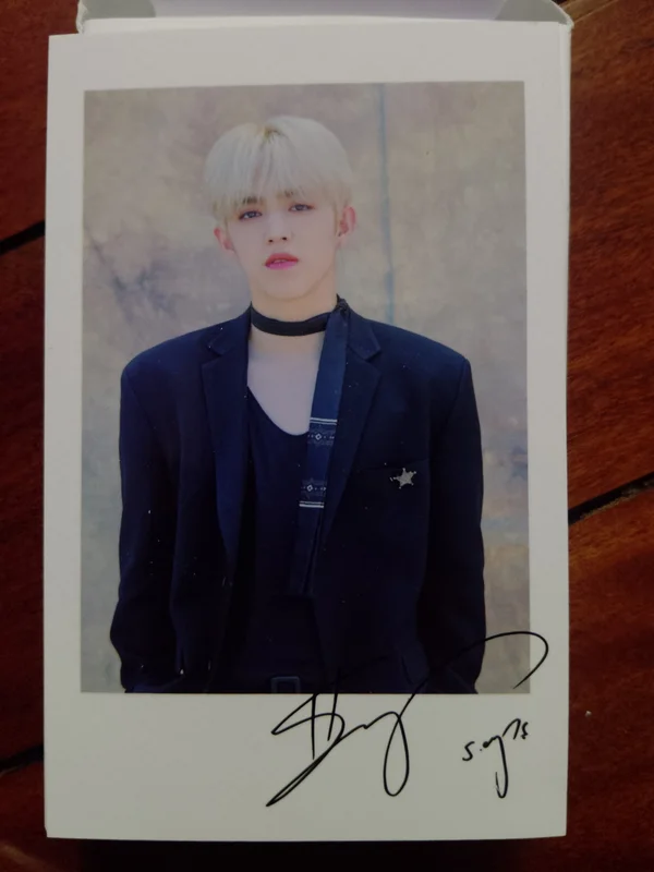 SEVENTEEN WORLD TOUR ODE TO YOU POLAROID PHOTO CARD SET