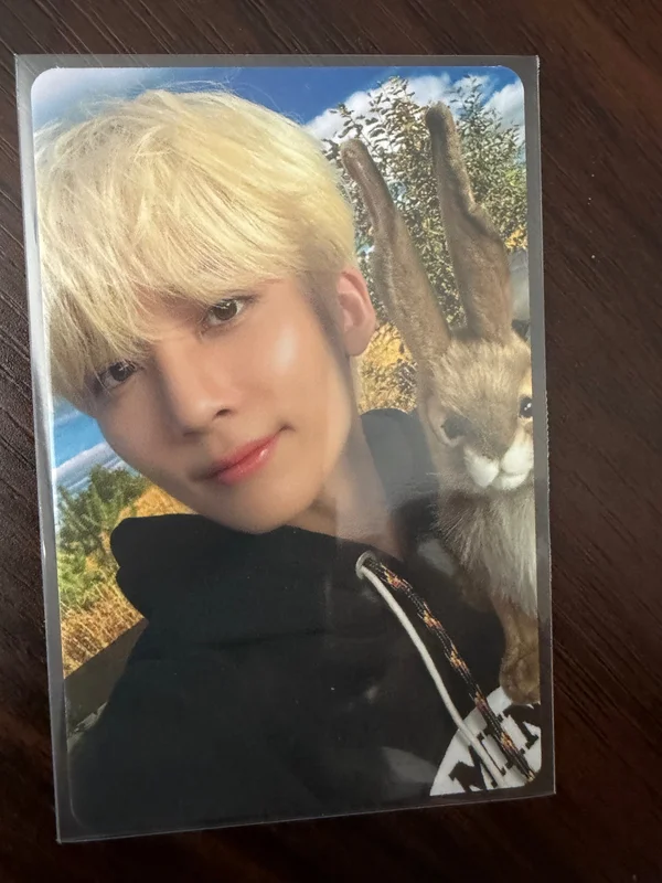 DICON D'FESTA MINI EDITION : SEVENTEEN