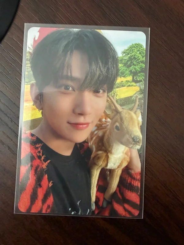 DICON D'FESTA MINI EDITION : SEVENTEEN