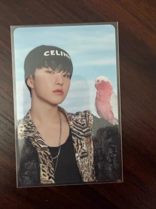 DICON D'FESTA MINI EDITION : SEVENTEEN