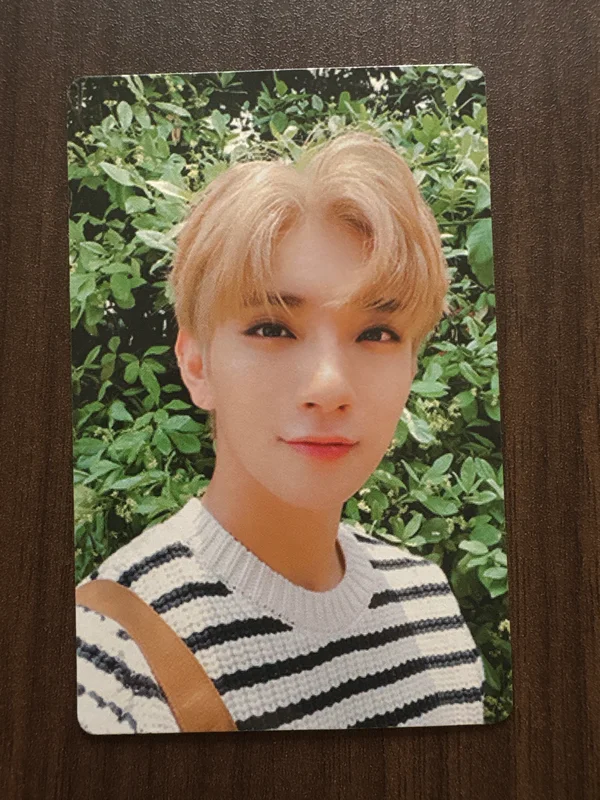 An Ode The Poet ver.