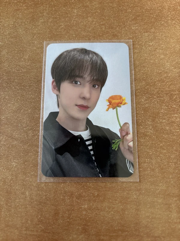 THE WORLD EP.FIN : WILL MINIRECORD