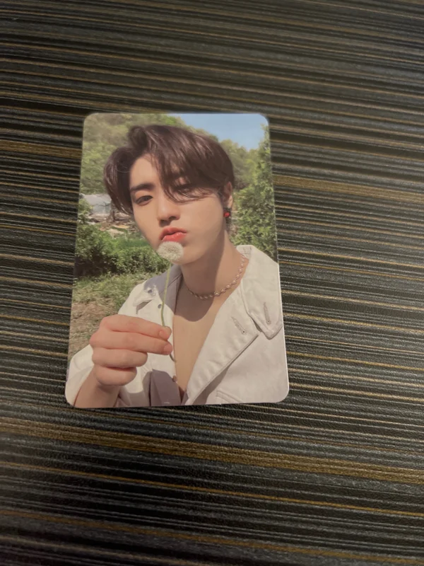 Maxident - T-Crush Version - Han