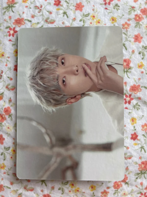 BTS MAP OF THE SOUL TOUR Mini Photo Card