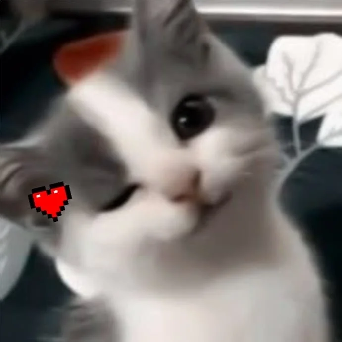 kittys_shop