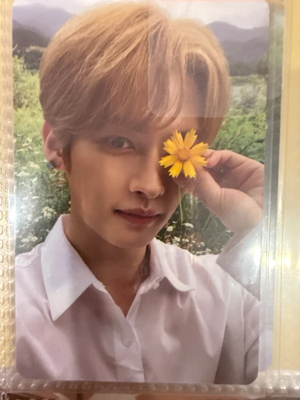 lee know Noeasy Limited