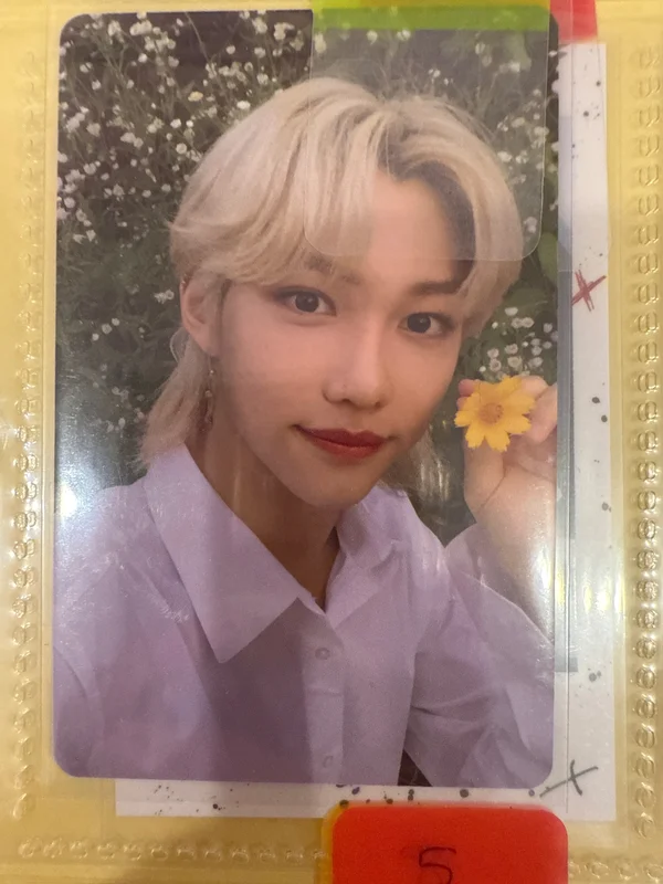 felix Noeasy Limited