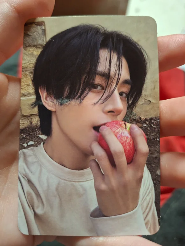 THE SIN : VANISH FUGITIVES Ver.