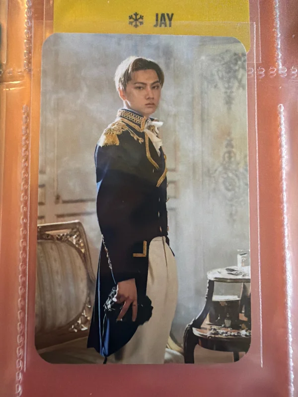 BORDER : CARNIVAL MECIMA