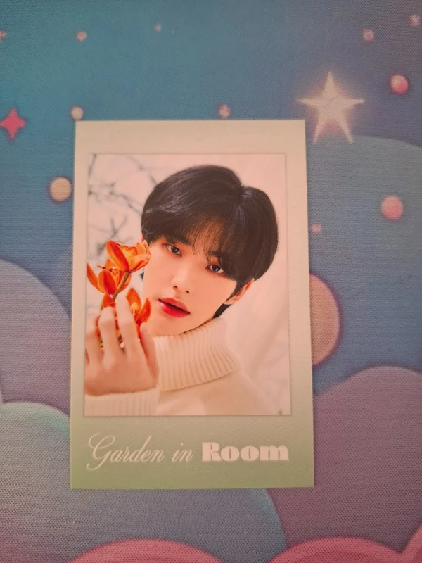 2022 season's greetings room mates