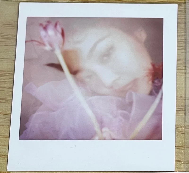 SOLO PHOTOBOOK
