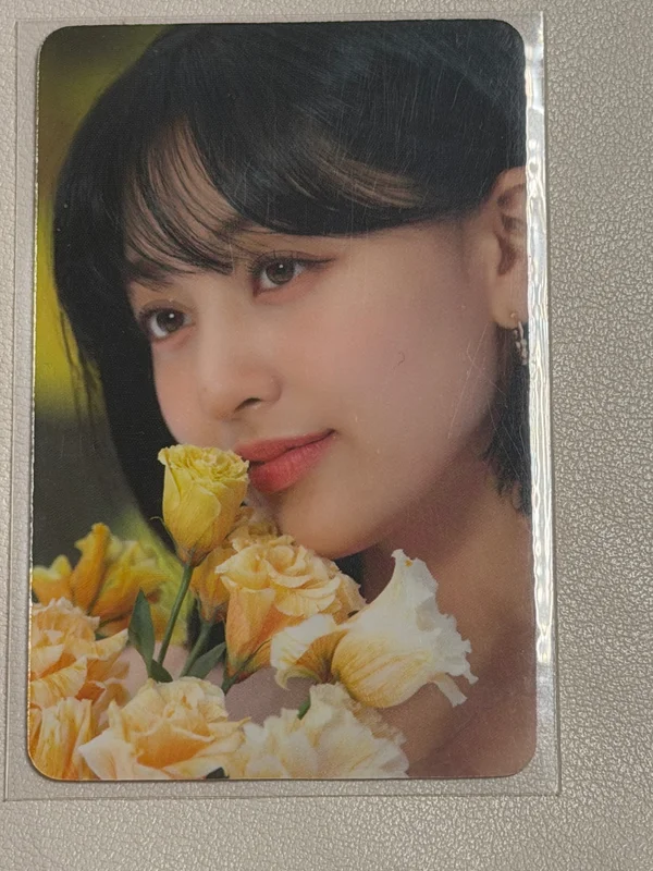 DICON D'FESTA MINI EDITION:TWICE