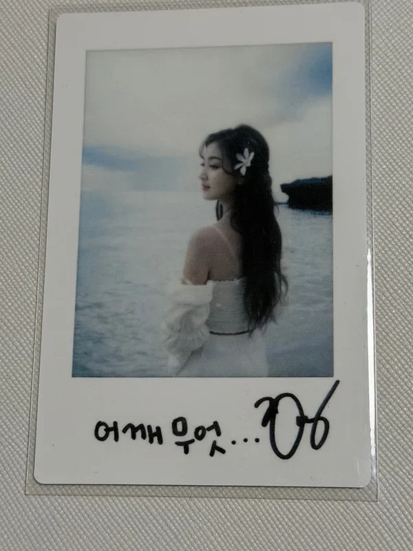 Summer Nights MONOGRAPH