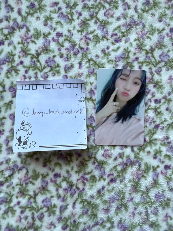 Dear Ohmygirl Omg Bear Ver.