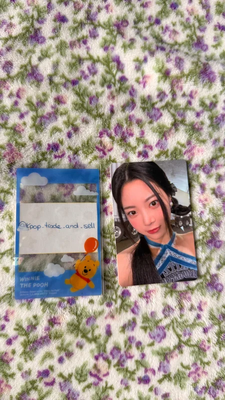 ANTIFRAGILE COMPACT Ver.