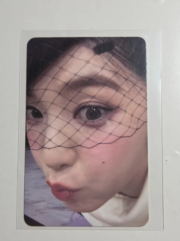 Biggest Fan RANDOM TRADING CARD