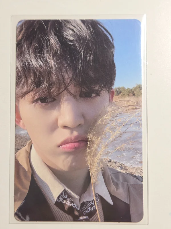 Face the Sun WEVERSE