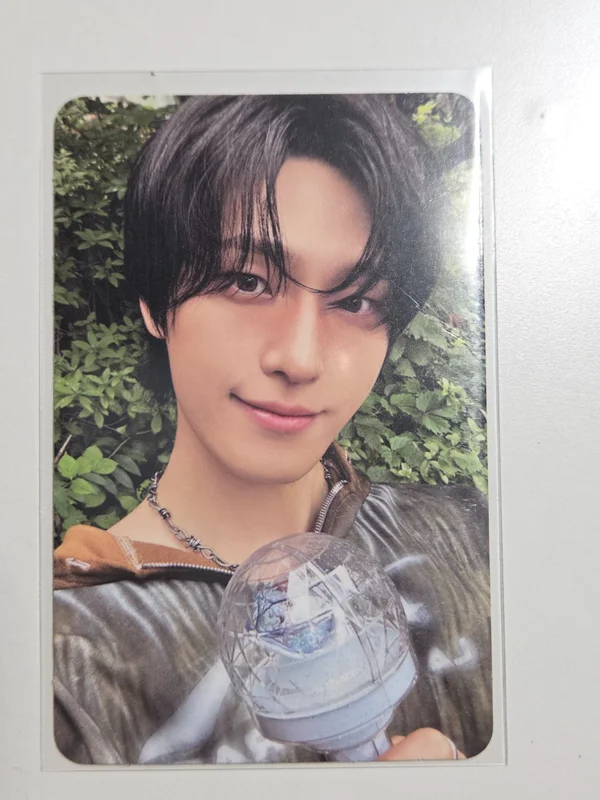 2026 DINOxPICHEOLIN [BOARD SHOW] CARAT ZONE