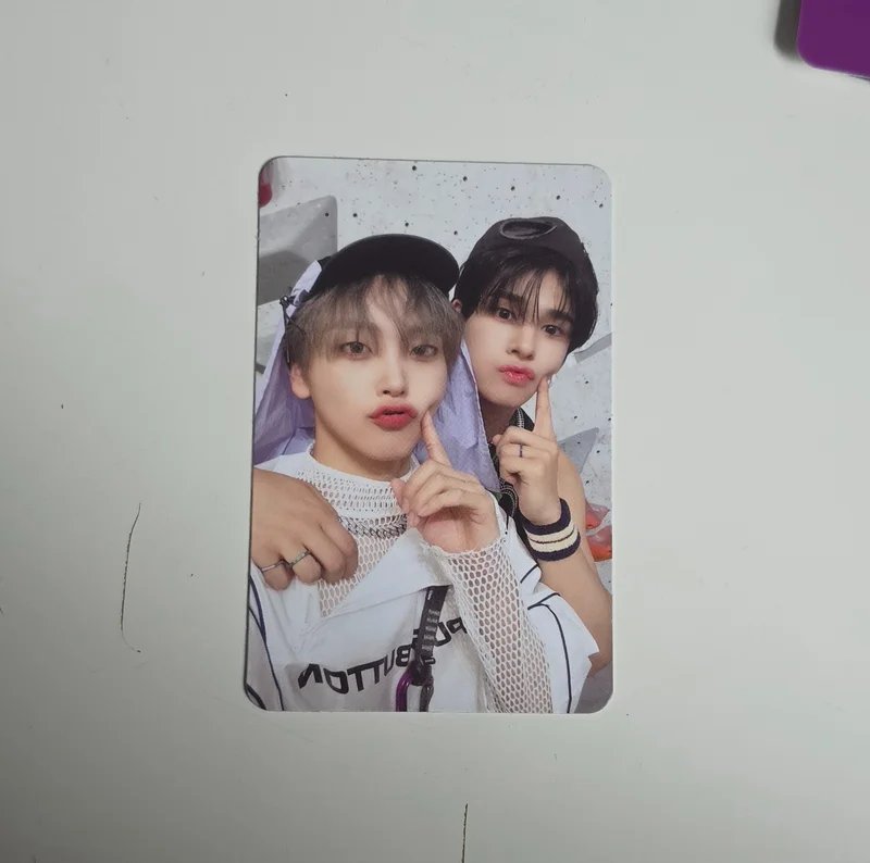 SUN SEEKER CATCHER VER.
