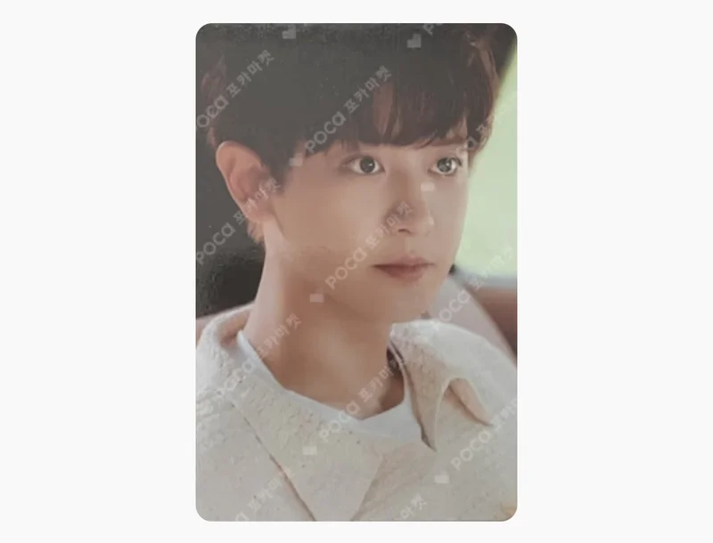 EXIST EXOcial Club Cream Soda RANDOM TRADING CARD SET B ver.