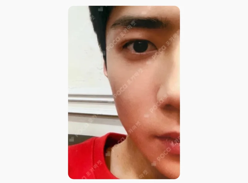 What a Life SC2019_P Ver.