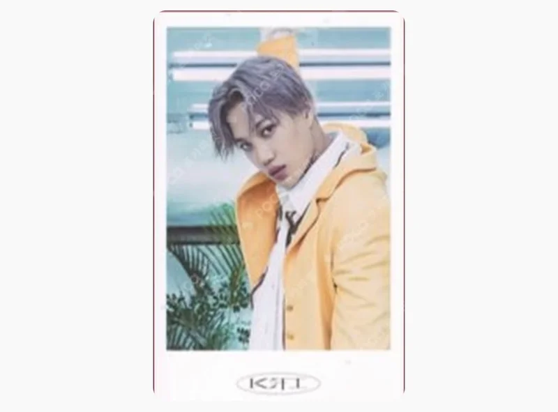 KAI MINI COLLECT BOOK