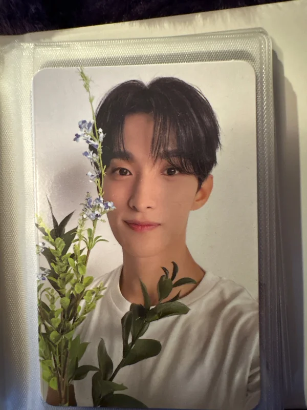 17 IS RIGHT HERE DEAR Ver.