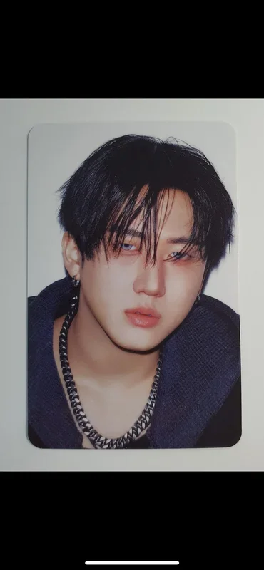 Changbin KARMA SKZOO Ver.