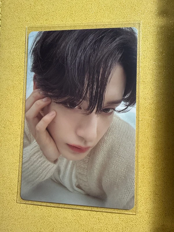 2024 SEASON'S GREETINGS Good Night