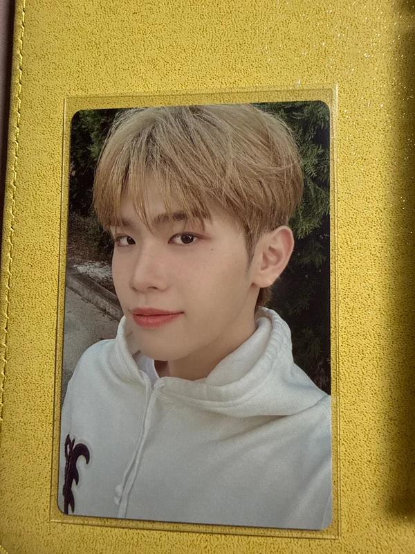 2024 SEASON'S GREETINGS Good Night