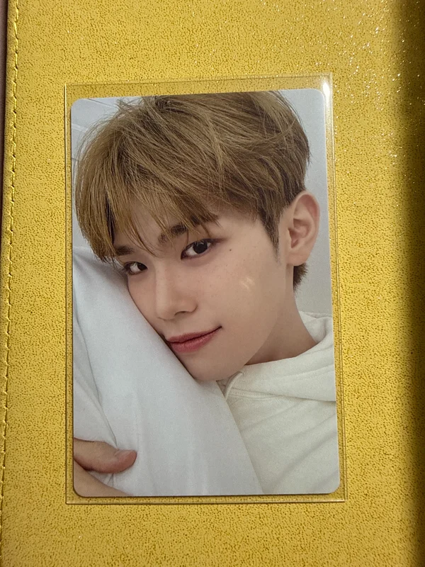 2024 SEASON'S GREETINGS Good Night MOOD LIGHT