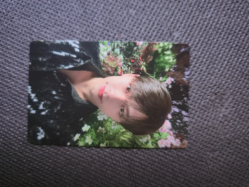 Face the Sun CARAT Ver.