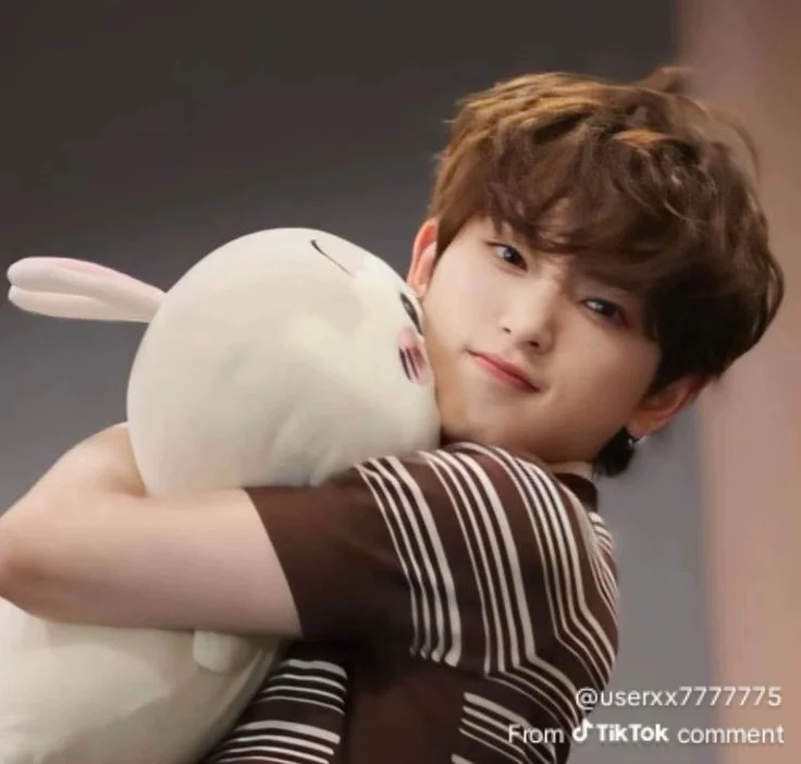 lix_sales