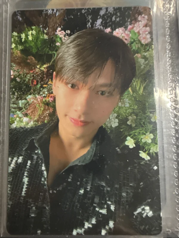 Face the Sun CARAT Ver.