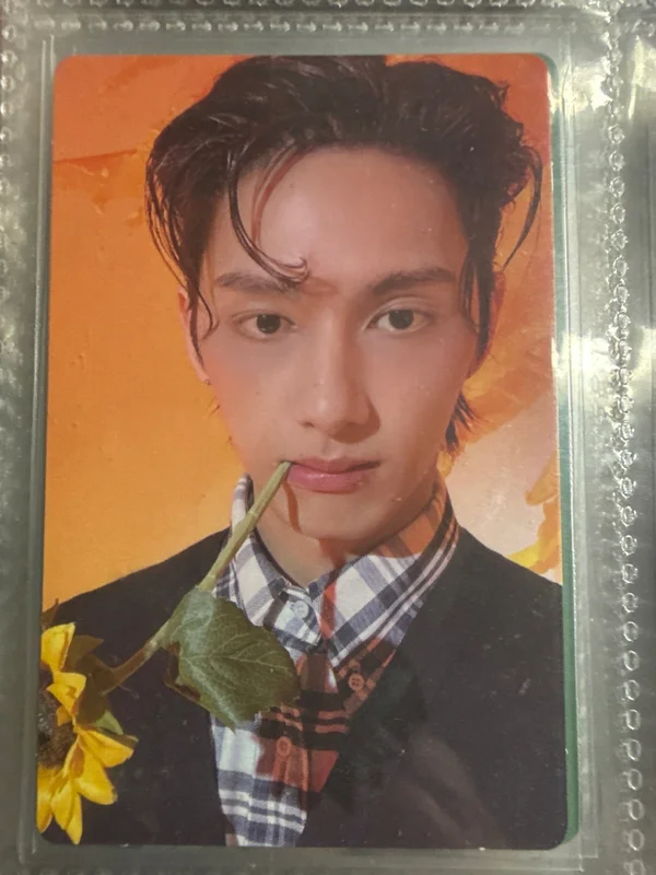 17 IS RIGHT HERE HERE Ver.