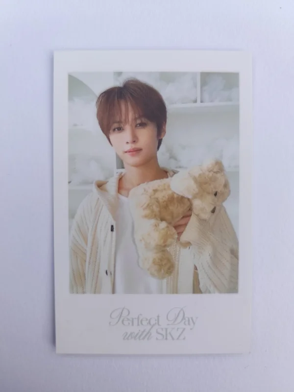 Stray Kids 2024 SEASON'S GREETINGS - Perfect Day with SKZ _ Lee Know Teddy bear