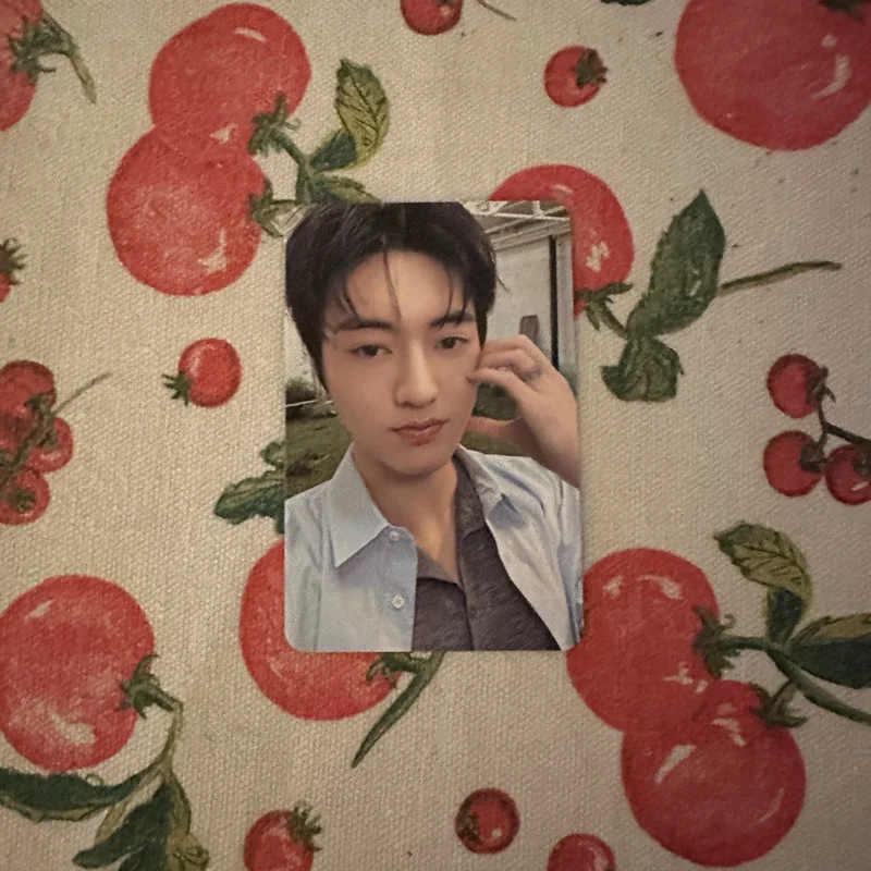 PLEASURE TREASURE TRADING PHOTOCARD BULK PACK