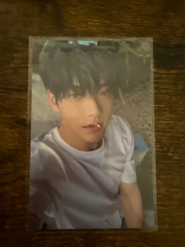 The Star Chapter: SANCTUARY Merch Ver.