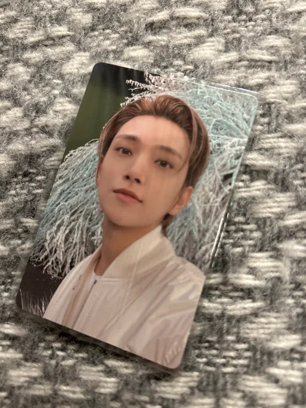 SECTOR 17 NEW HEIGHTS ver.