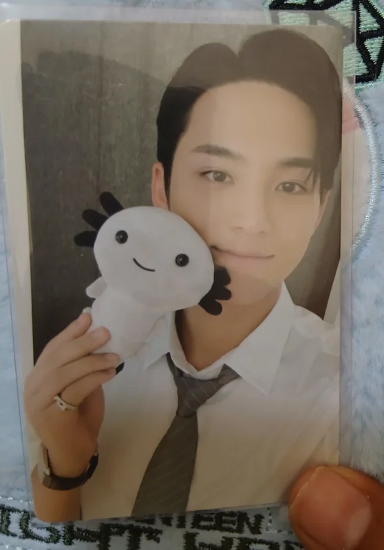 SEVENTEEN MINGYU AXOLOTL