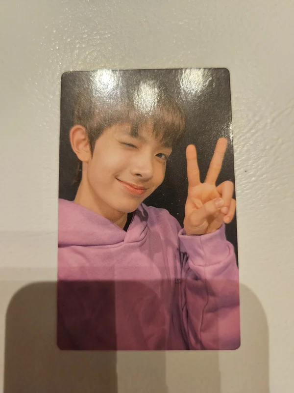 Official Light Stick