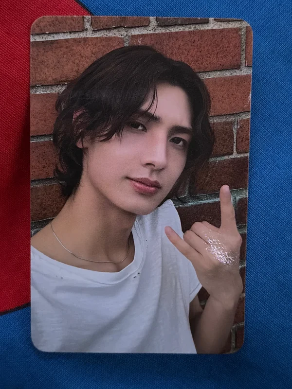 LIVE and FALL LIVE ver.